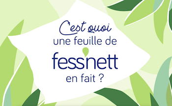 Les feuilles Fess’nett sont sans danger pour vos toilettes !